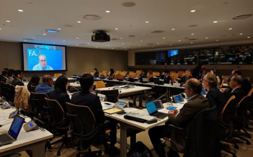 CAST-UN Consultative Committee on Disaster Reduction holds side event ...