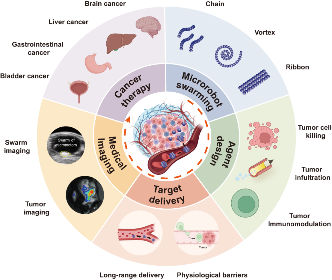 Microrobotic Swarms for Cancer Therapy