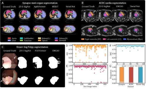 E-SegNet: E-Shaped Structure Networks for Accurate 2D and 3D Medical ...
