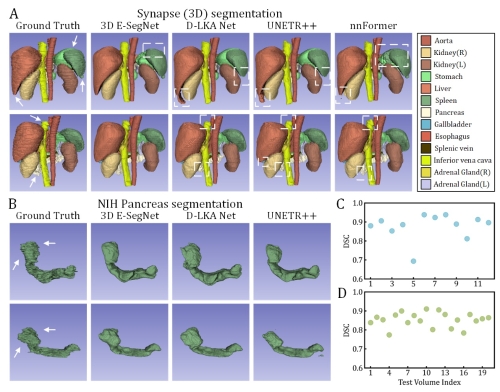 E-SegNet: E-Shaped Structure Networks for Accurate 2D and 3D Medical ...