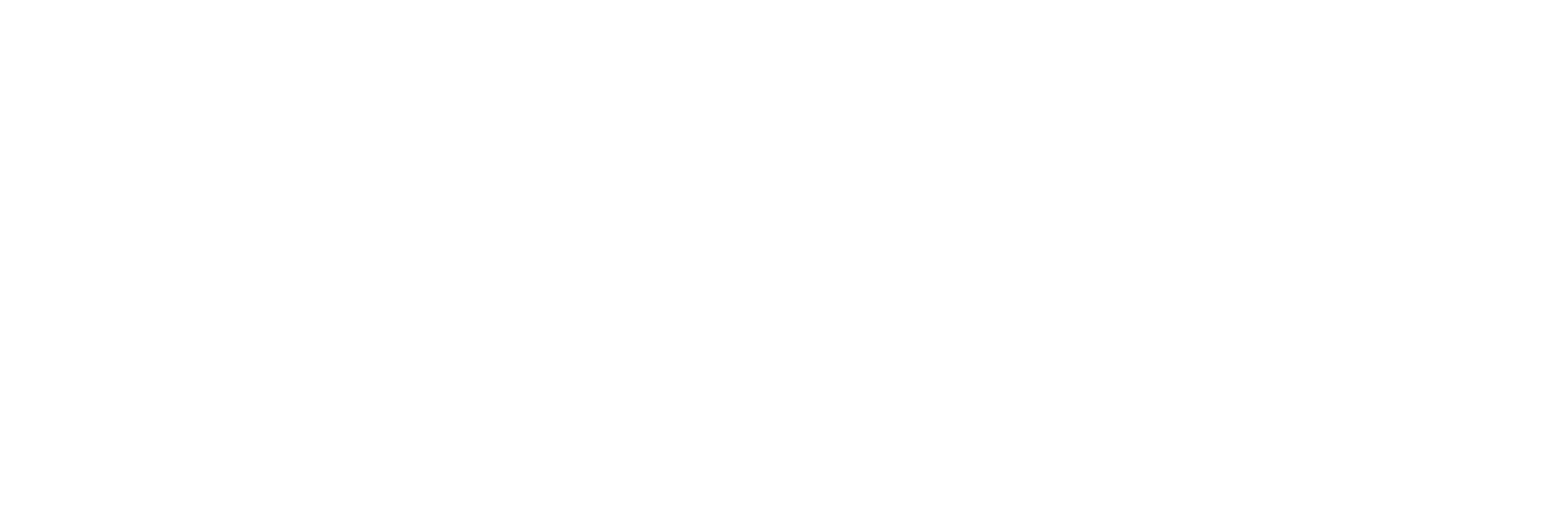 THE INTERNATIONAL MONTH 2025